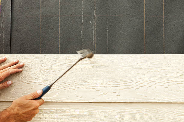 Best Siding for New Construction  in Oglethorpe, GA